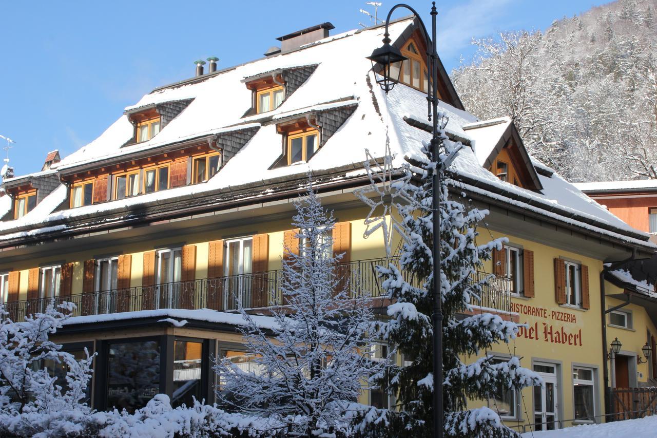 Hotel Haberl Tarvisio Ngoại thất bức ảnh